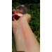 Fard de obraz pentru fata Golden Rose Nude Look Face Baked Blusher