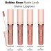 Ruj lichid lucios Golden Rose Nude Look Natural Shine Lipgloss