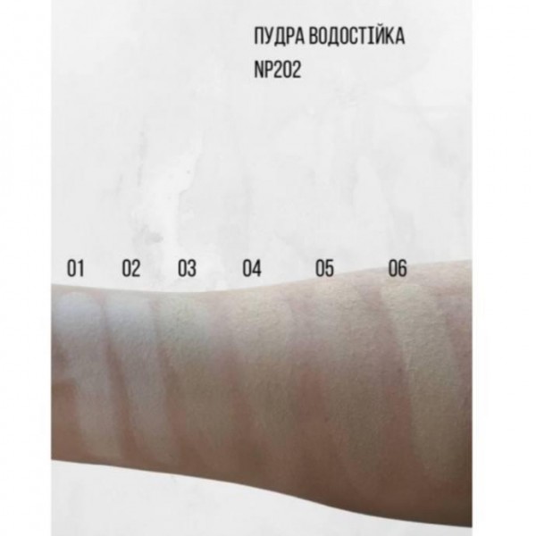 Pudră cremoasă rezistentă la apă NEVERTI 10g (NP202)