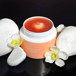 Мультифункциональный двухфазный крем для лица MODAY Kombucha CREAM 50 мл